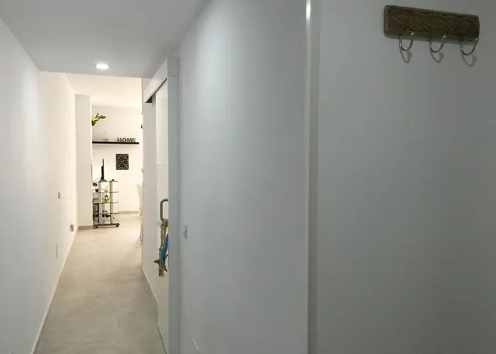 迈伊公寓 * 大加那利岛拉斯帕尔马斯